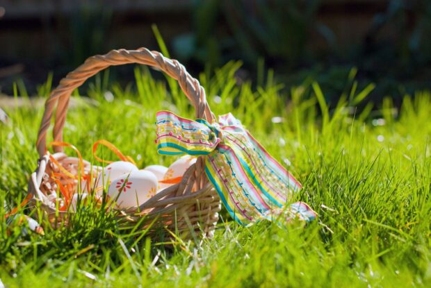 Sustainable Egg Hunting